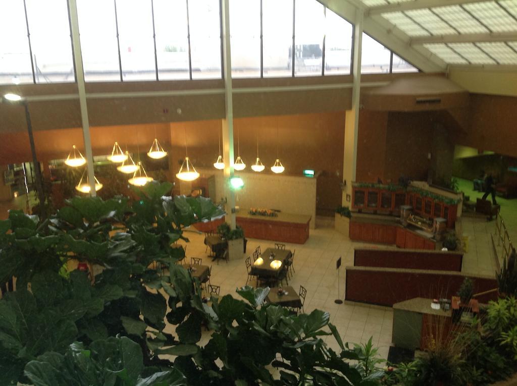 Wyndham Garden Amarillo Hotel Luaran gambar
